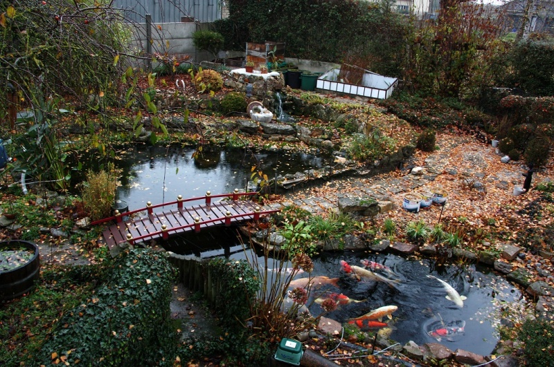 Fichier:Bassin periode froid.jpg